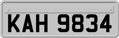 KAH9834