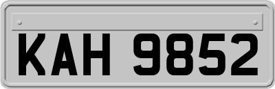 KAH9852