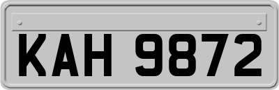 KAH9872