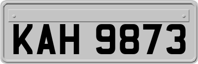 KAH9873