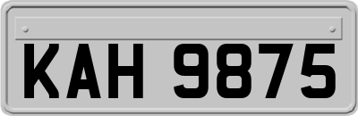 KAH9875