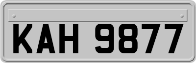 KAH9877