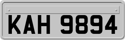 KAH9894