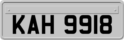 KAH9918