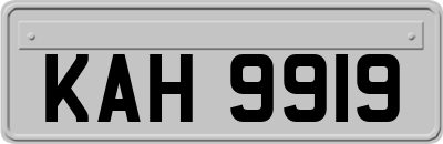 KAH9919