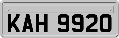 KAH9920