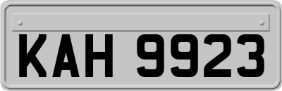 KAH9923
