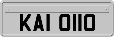 KAI0110