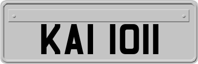 KAI1011