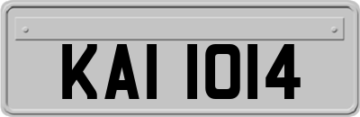 KAI1014
