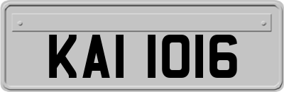 KAI1016