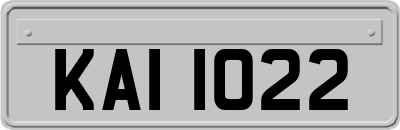 KAI1022
