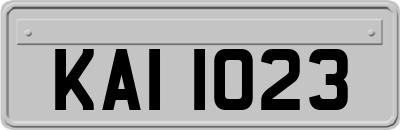 KAI1023