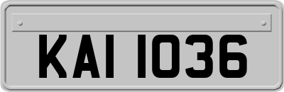 KAI1036