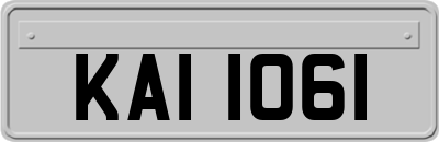 KAI1061