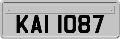 KAI1087