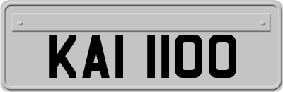 KAI1100