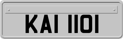 KAI1101