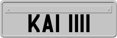 KAI1111