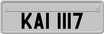 KAI1117