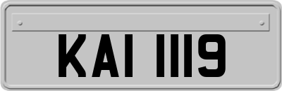 KAI1119
