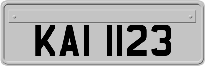 KAI1123