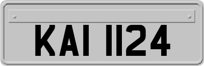 KAI1124
