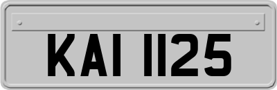 KAI1125
