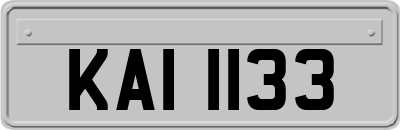 KAI1133