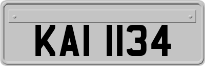 KAI1134