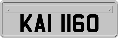 KAI1160