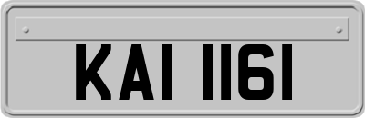KAI1161