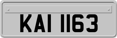 KAI1163
