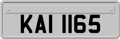 KAI1165
