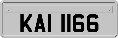 KAI1166