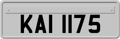 KAI1175