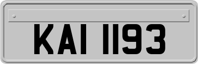 KAI1193