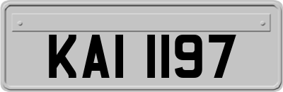 KAI1197