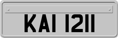 KAI1211