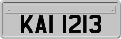 KAI1213