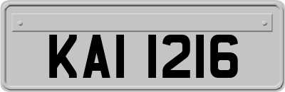KAI1216