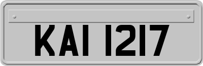 KAI1217