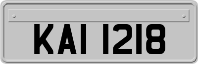 KAI1218