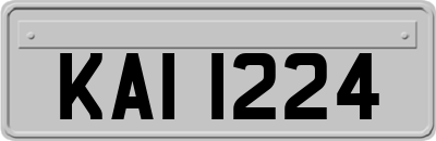 KAI1224