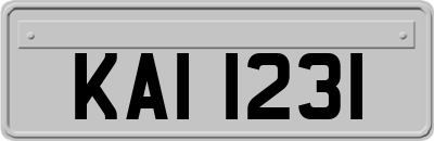 KAI1231