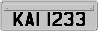 KAI1233