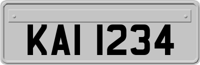 KAI1234