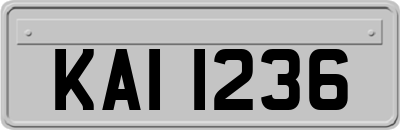 KAI1236