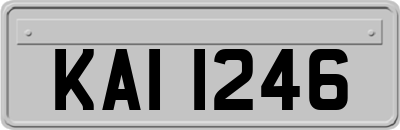 KAI1246
