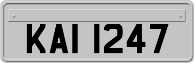KAI1247